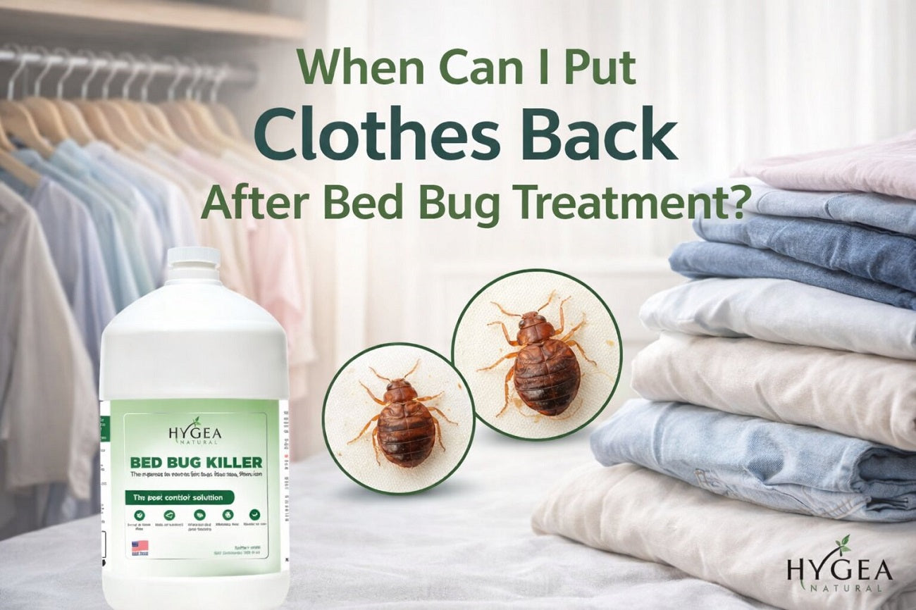 When Can I Put Clothes Back After Bed Bug Treatment