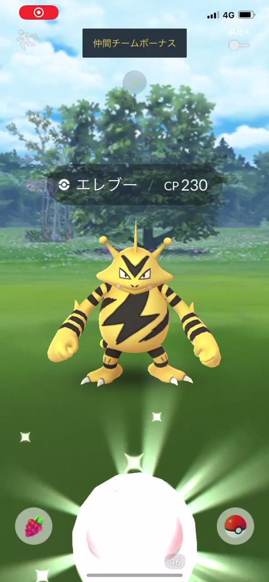 ポケモンGoのエレブー育成論！最強エレキブル進化と技構成・厳選術