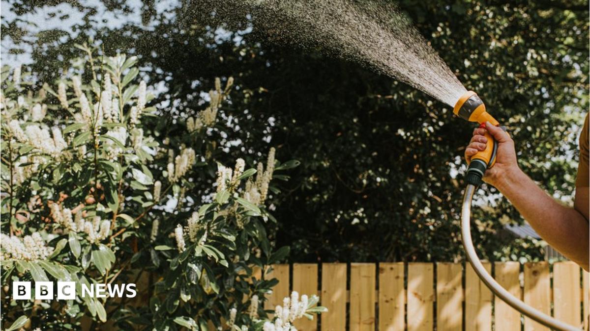 Thames Water Urges Residents to Restrict Water Usage Amid Heat
