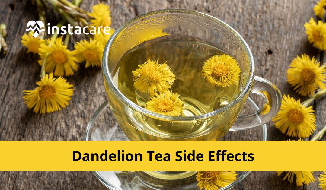 Side Effects of Drinking Dandelion Tea