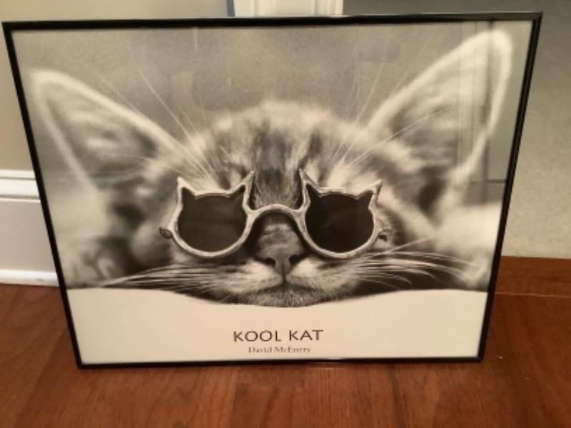Kool Kat Framed Poster Mcenery
