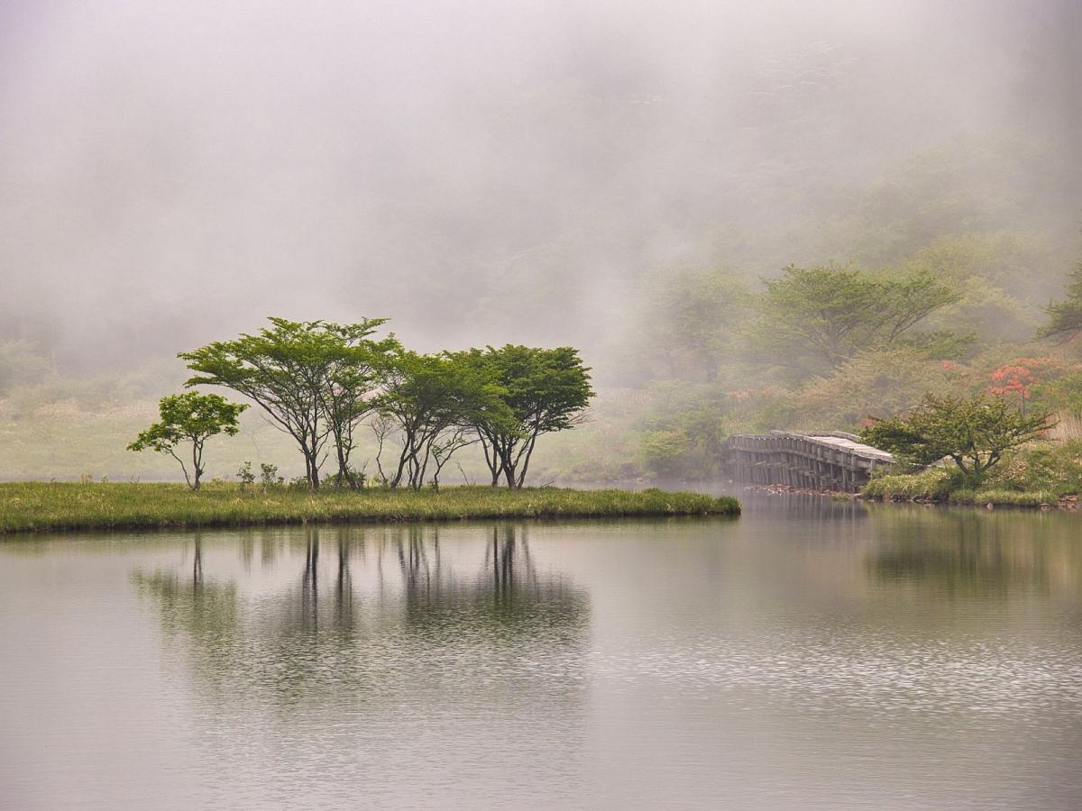 赤城山「覚満淵」の絶景ガイド！見頃時期や散策ルートを徹底解説