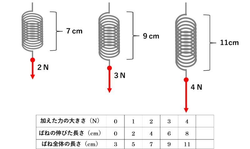 【2026最新】フックの法則とは？公式F=Kxの本質と直列並列の罠