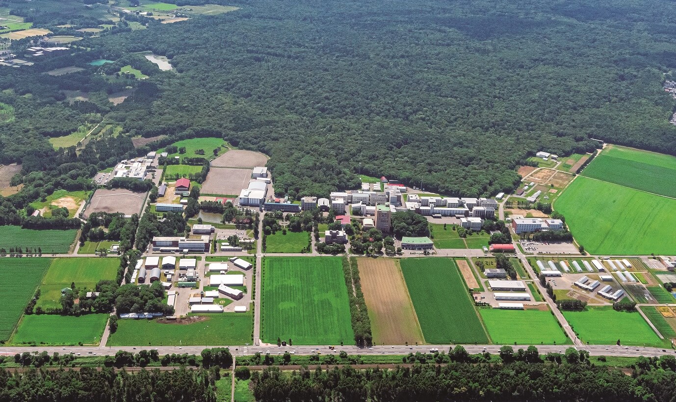 手賀沼花火大会2026の穴場はどこ？地元民が明かす混雑回避ルート完全版