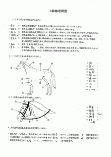 【速報】 乗馬 ライセンス 4 級 2026年最新メディア #721