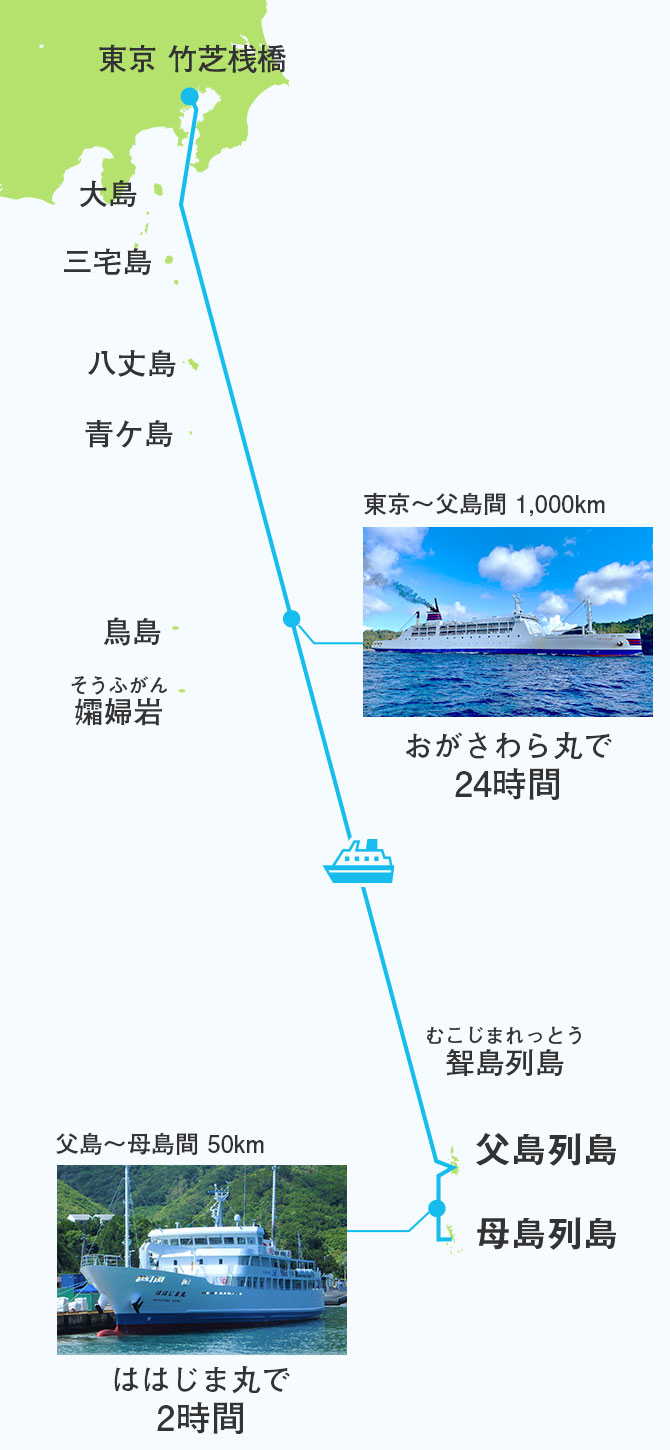 あそら農園の評判と直売所・通販の真相を徹底取材【2026最新】