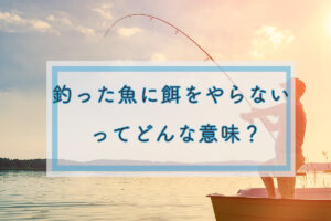 「釣っ た 魚 に 餌 を やら ない」関係が崩壊を招く？2026年のタイパ恋愛と冷めるパートナーのリアル