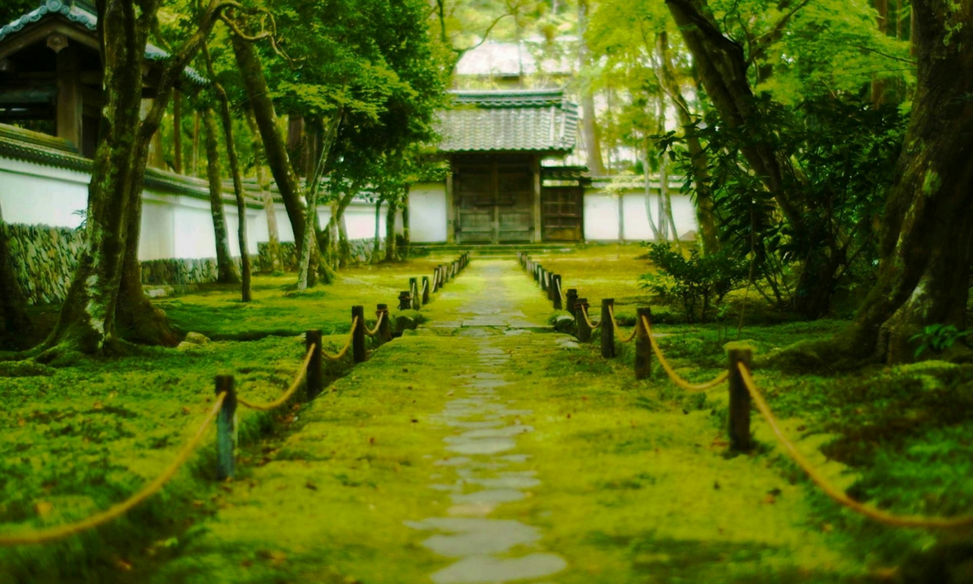 西芳寺（苔寺）完全攻略2026｜予約の裏技・冥加料の理由と見頃