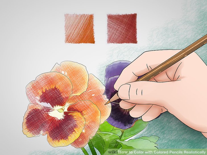 How to Color with Colored Pencils Realistically