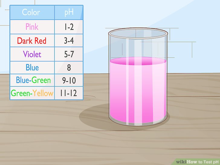 How to Test the Ph Level