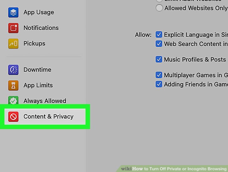 How Do I Turn off Private Browsing