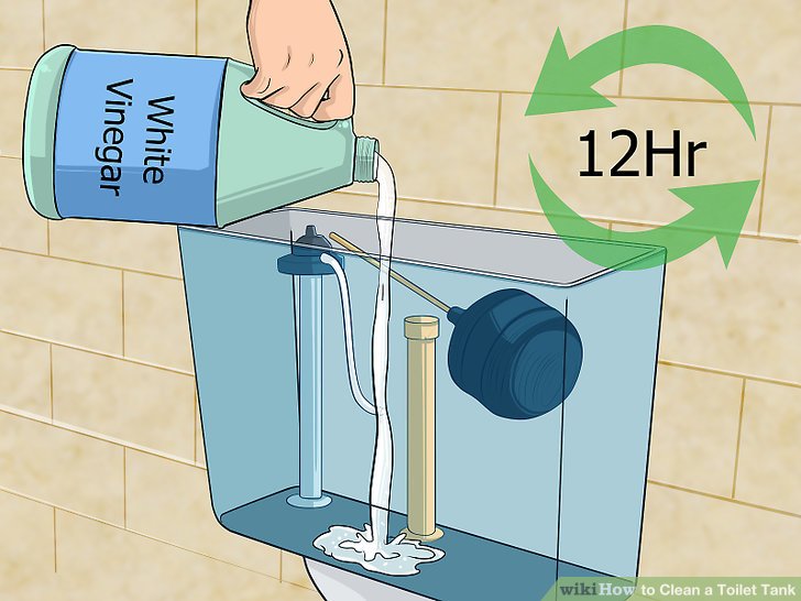 Is the Water in the Toilet Tank Clean