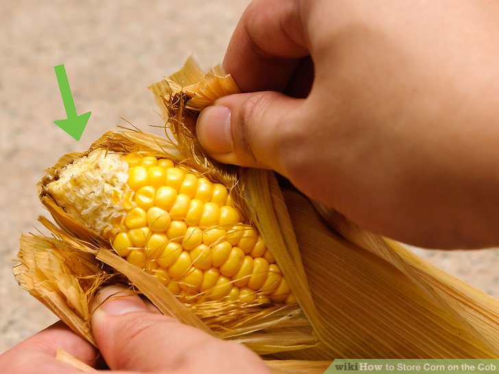 Storing Corn on the Cob with Husk