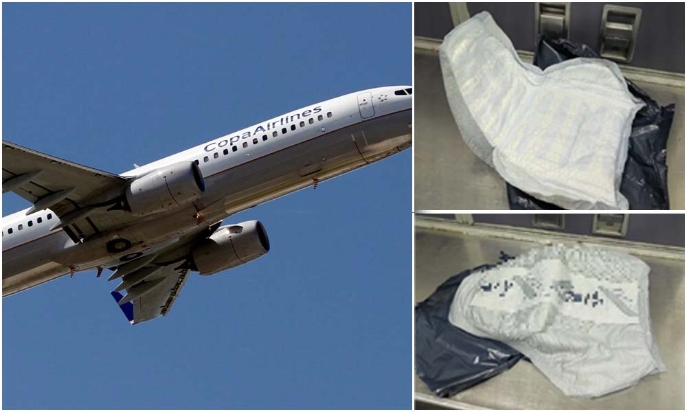 Wow Air Diaper Bag Policy