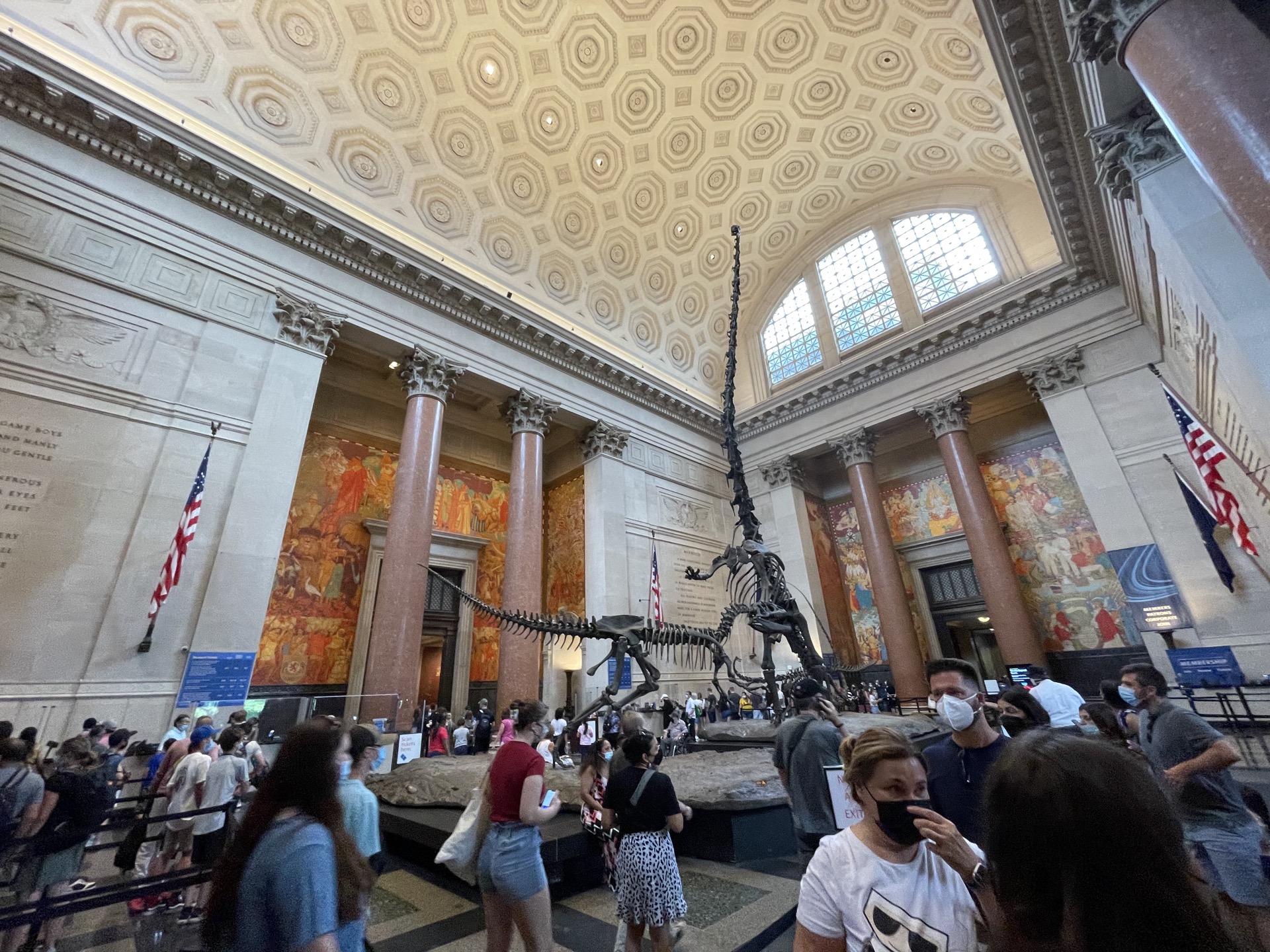 American Museum of Natural History Pay What You Want