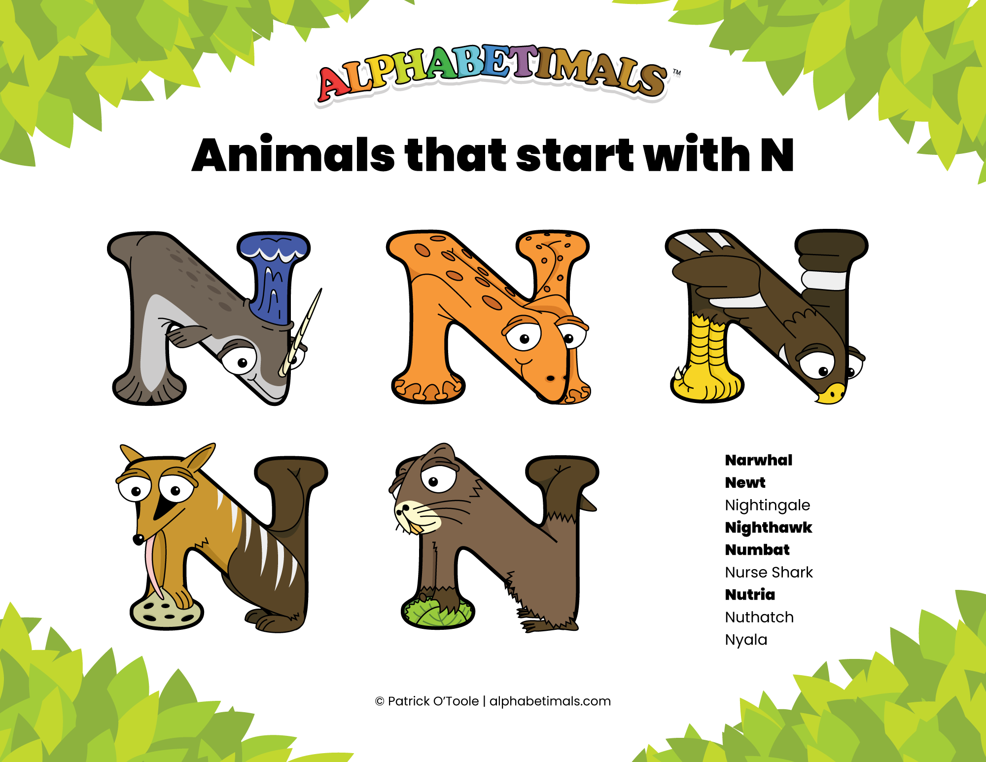 Animals That Start with N for Kindergarten