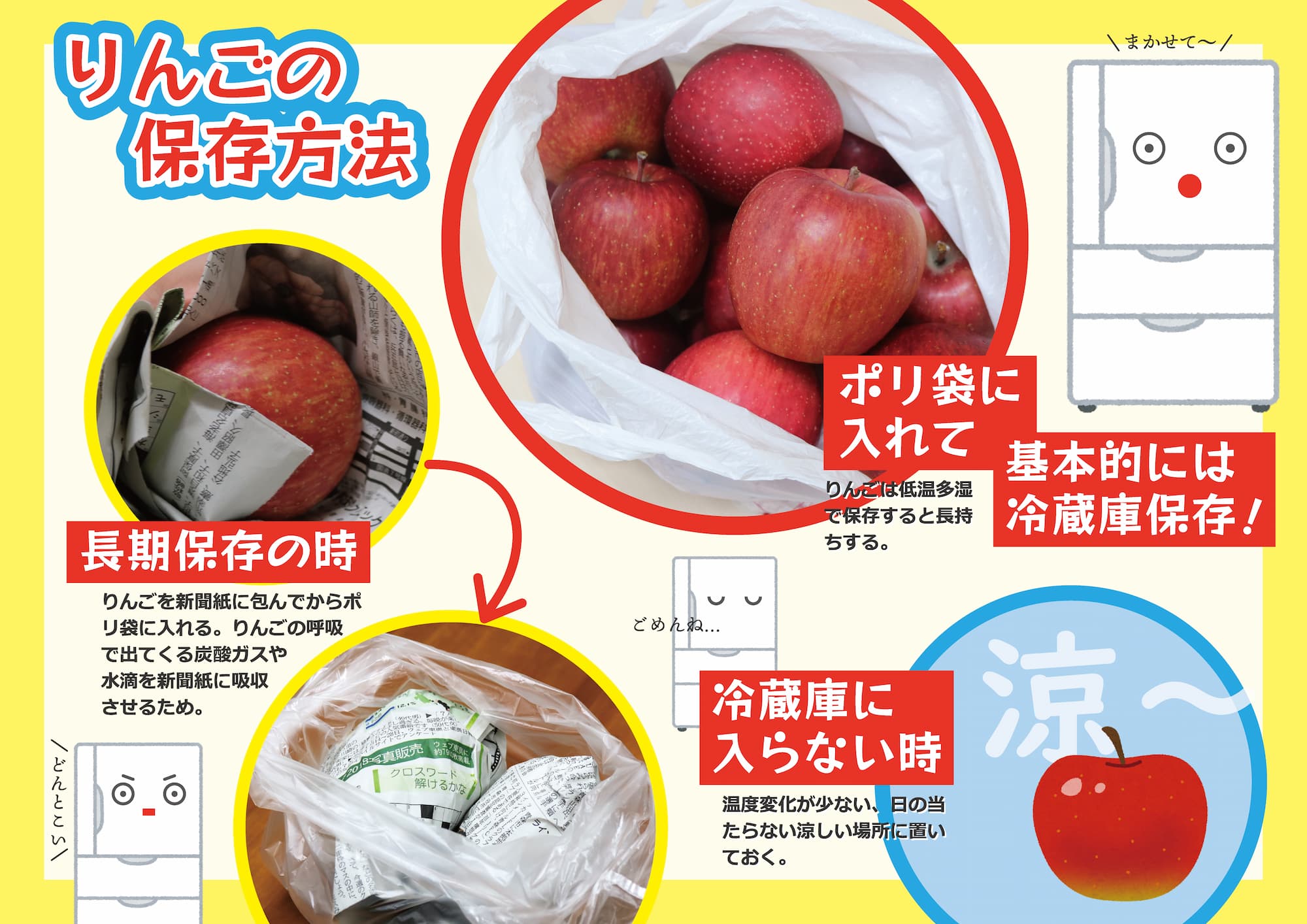 りんご保存方法の決定版！冷蔵庫で2ヶ月シャキシャキを保つプロの裏ワザ