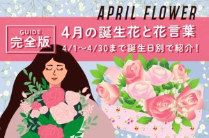 贈る前に知りたい！3月4日の誕生花が持つ「意外なメッセージ」と2026年春のフラワーギフト新潮流