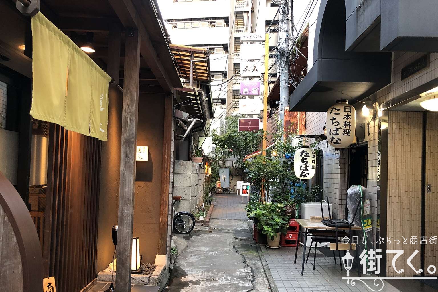 四谷・荒木町なぜ食通集う？花街の歴史と2026年最新隠れ家グルメ