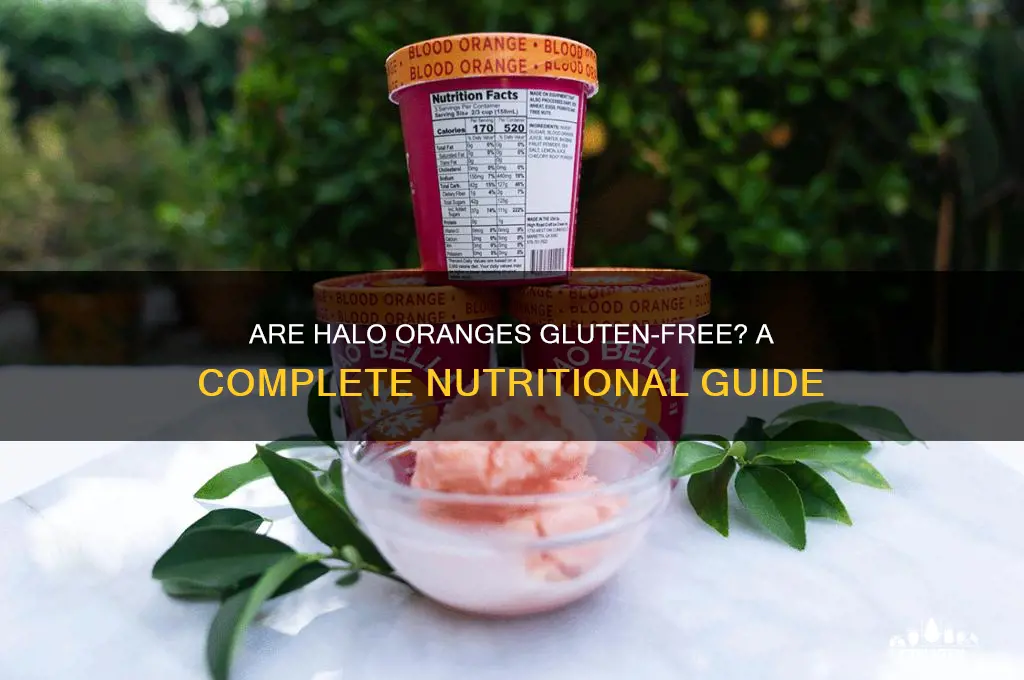 Are Oranges Gluten Free