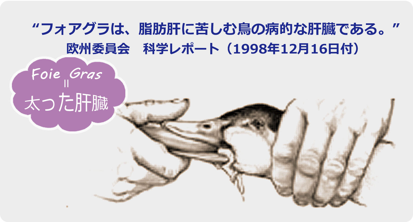 フォアグラは日本で禁止？世界規制の理由と今後の提供動向を徹底解説