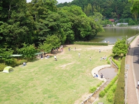 【2026最新】坂田ヶ池総合公園の混雑回避術！スライダーの穴場時間を徹底攻略