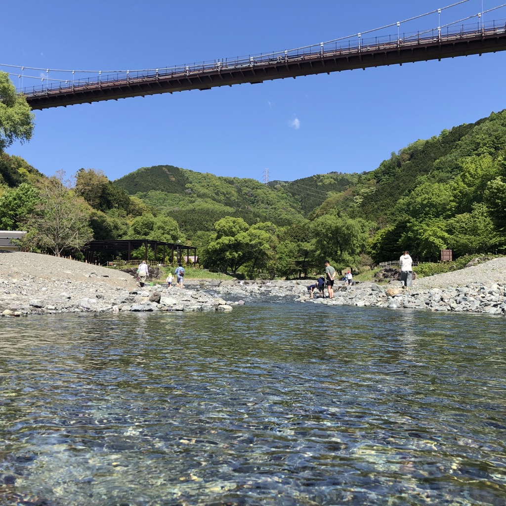 秦野戸川公園の川遊び完全攻略！風の吊り橋下の浅瀬と混雑回避術