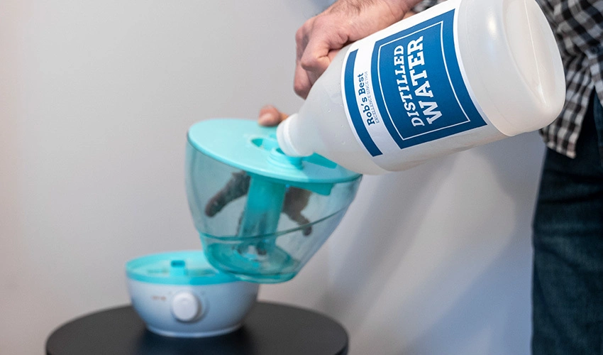 Can You Put Regular Tap Water in a Humidifier