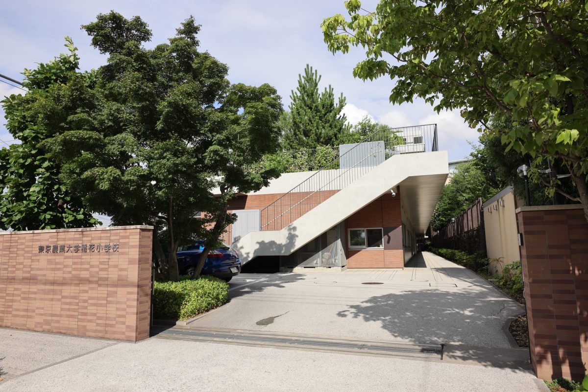 東京農業大学稲花小学校の倍率と学費・受かる子の共通点【2026最新】