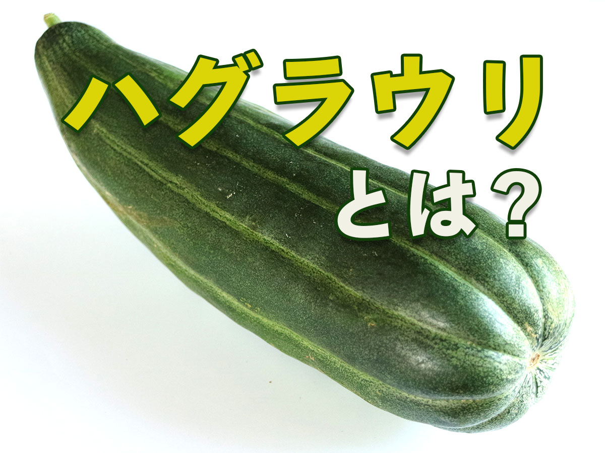 ウリ科野菜の意外な盲点｜苦い実は猛毒？食中毒の真相と安全な見分け方