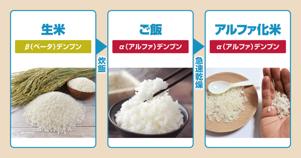 伝説の六本木「アルファイン」の現在と跡地｜閉店理由と噂の真相を追う