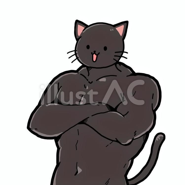 Snsを揺るがす「マッスル猫」の正体！筋肉美の解剖学的な真相