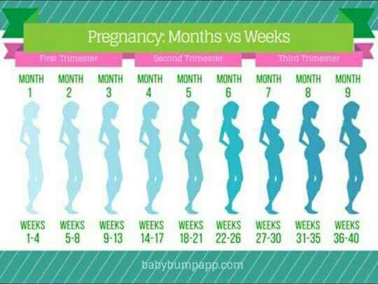 How Long Is 22 Weeks in Months