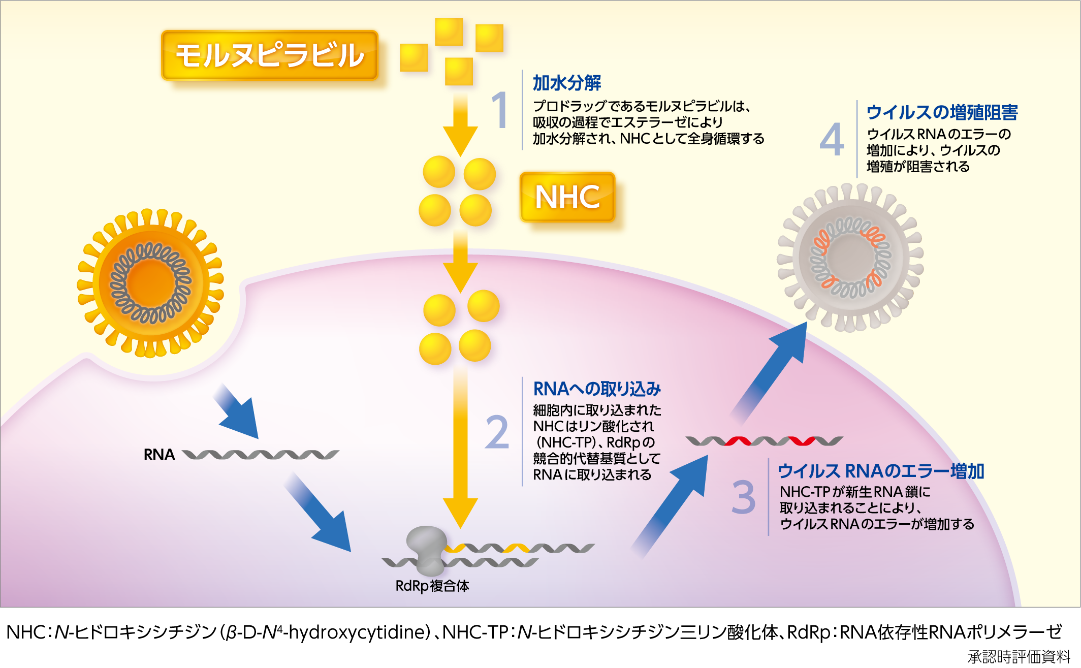 作用機序とは？薬理作用との違いや薬が効く仕組みを最新知見で徹底解説
