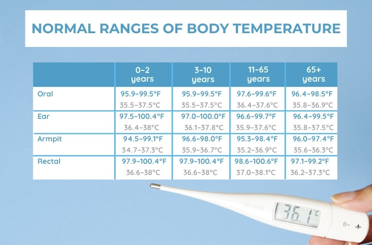 Thermometer Normal Body Temp