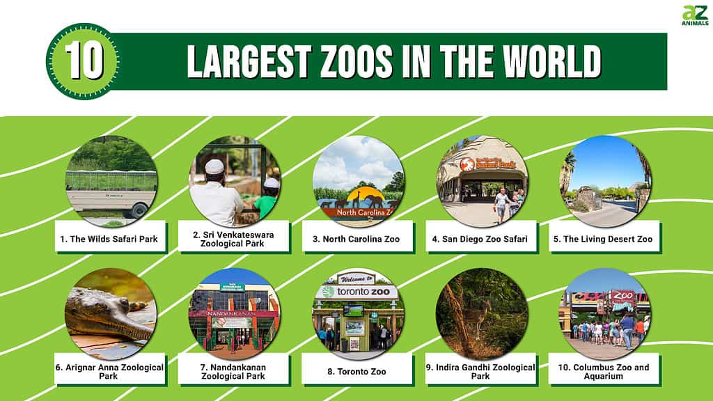 World Biggest Zoo in the World
