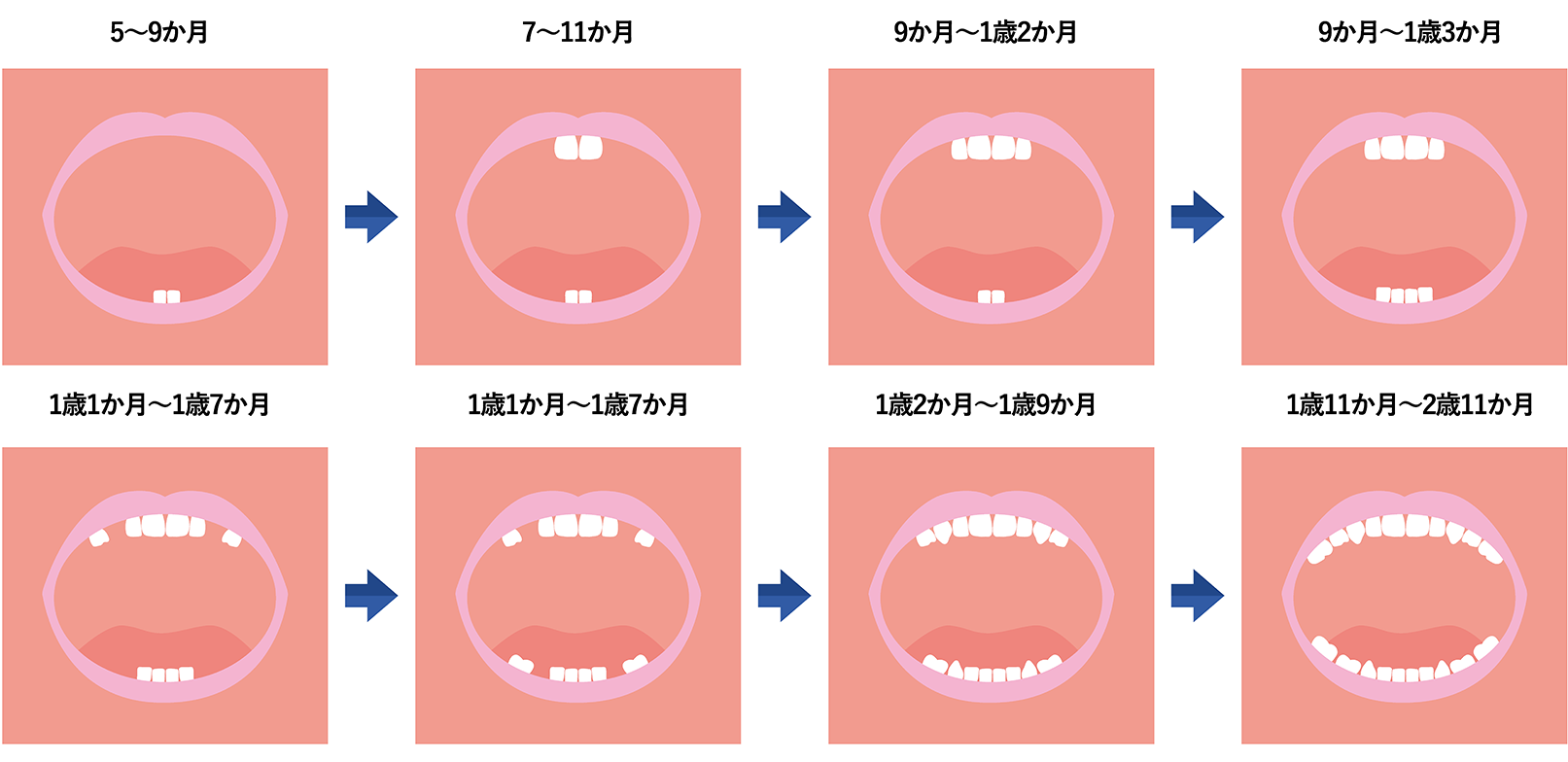 赤ちゃんの歯の生える順番が違う？上の歯から生える原因と受診の目安