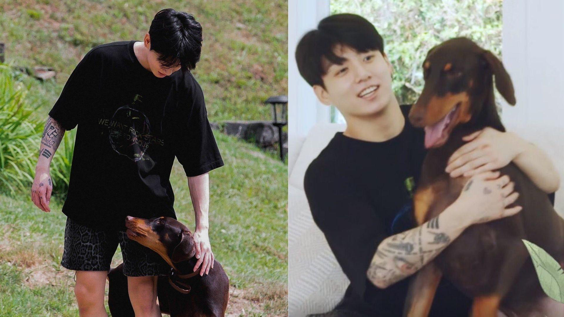 Jungkook Dog in the Soop