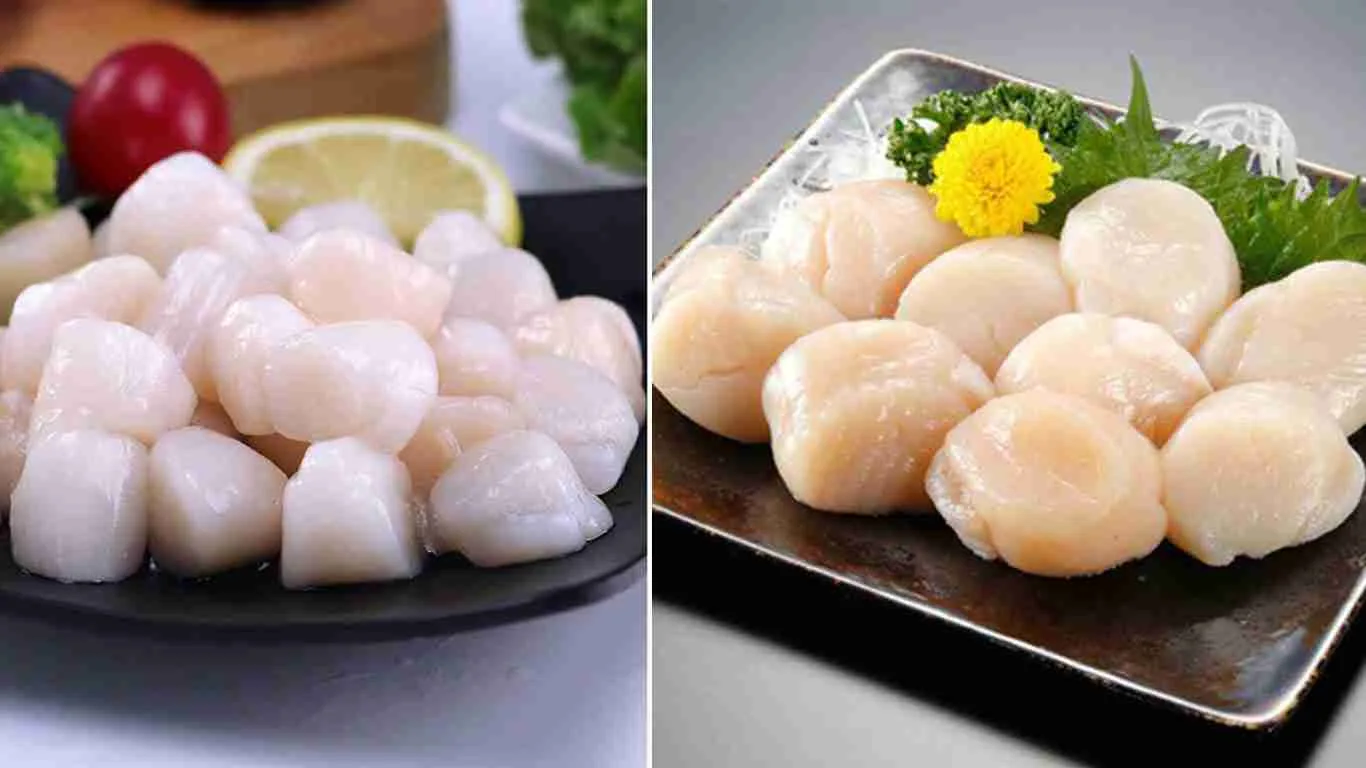 Difference Between Bay Scallops and Sea Scallops