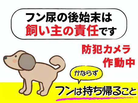 【獣医師が警告】犬のお尻歩き放置は危険？失敗しない肛門腺絞りを徹底解説