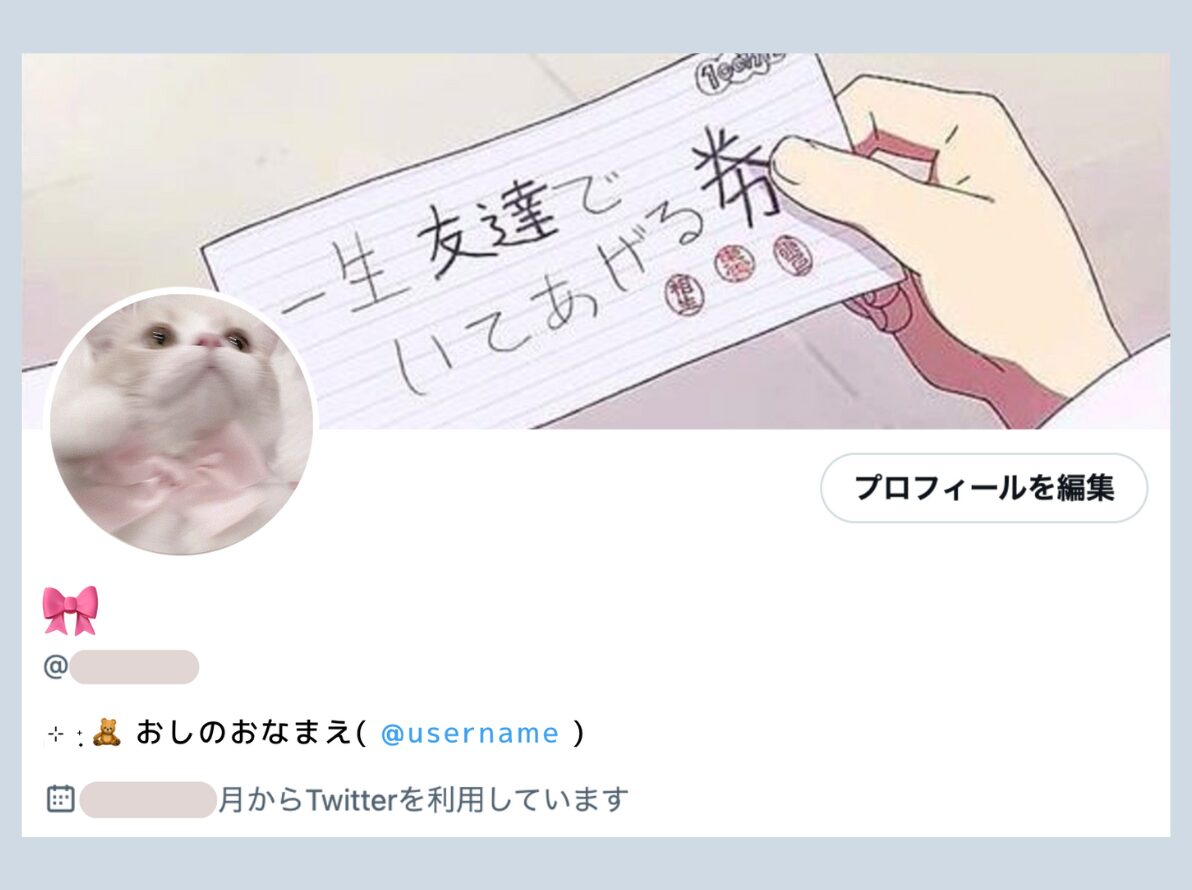 Bio欄とはどこのこと？意味や由来・差がつくおしゃれな書き方徹底解説