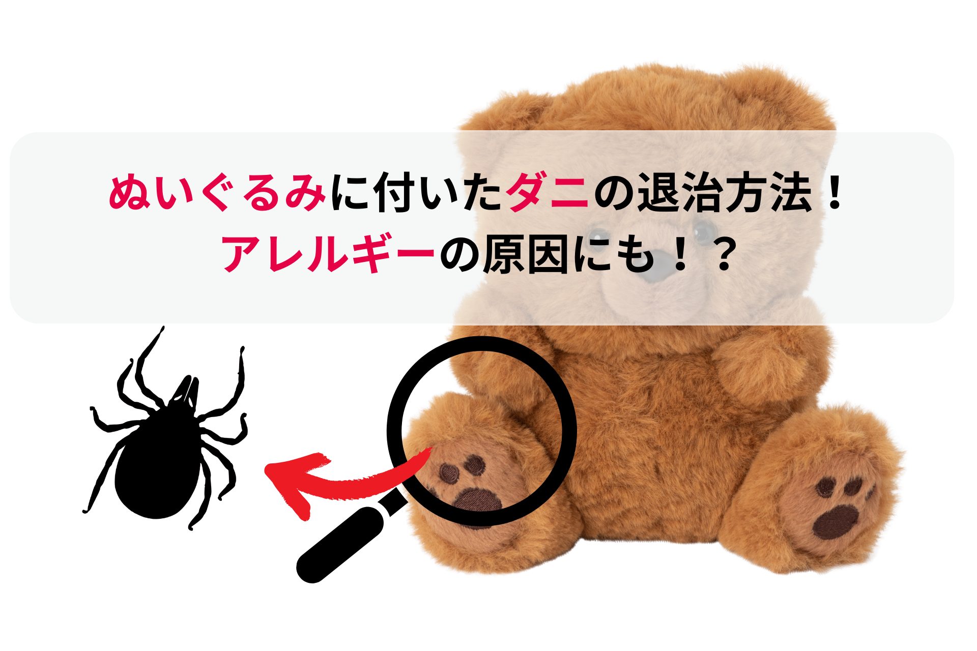 抱いて眠るぬいぐるみに潜むダニ！天日干しを超える最新撃退法