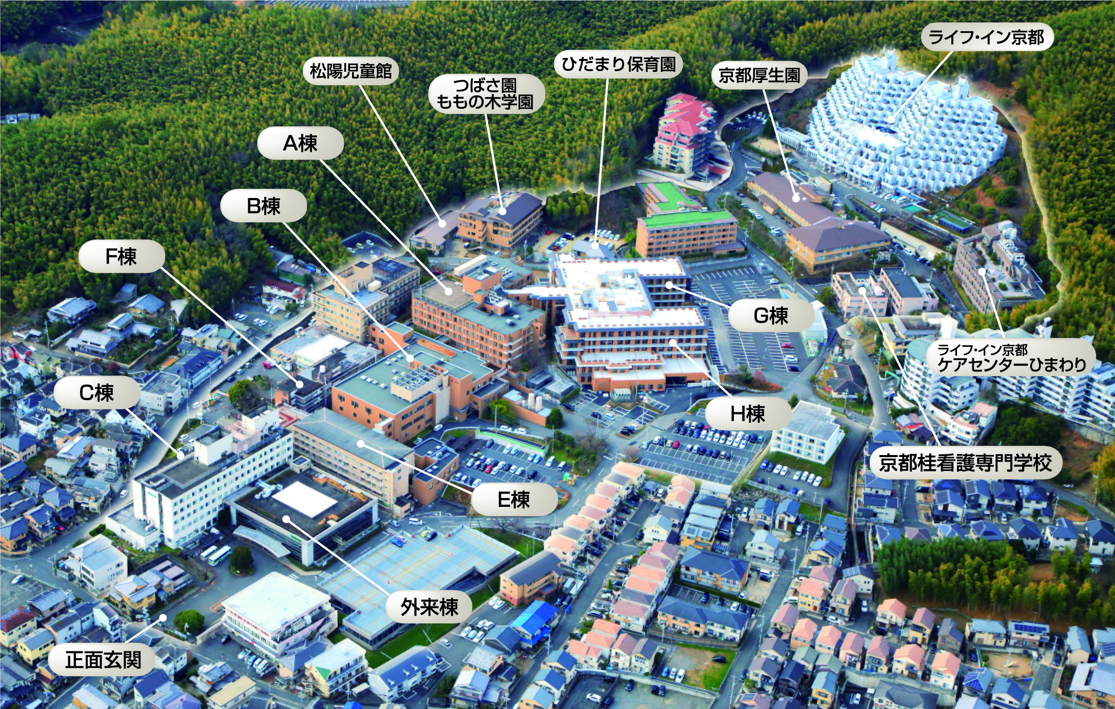 京都桂病院の評判と外来予約の実態！2026年最新ルールと受診完全ガイド