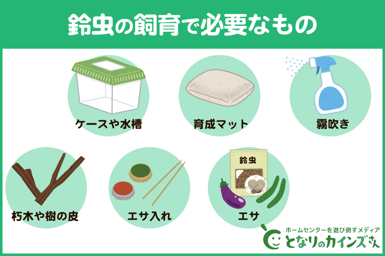 鈴虫の飼い方完全版！すぐ死ぬ原因と共食いを防ぐ隠れ家・卵の越冬術
