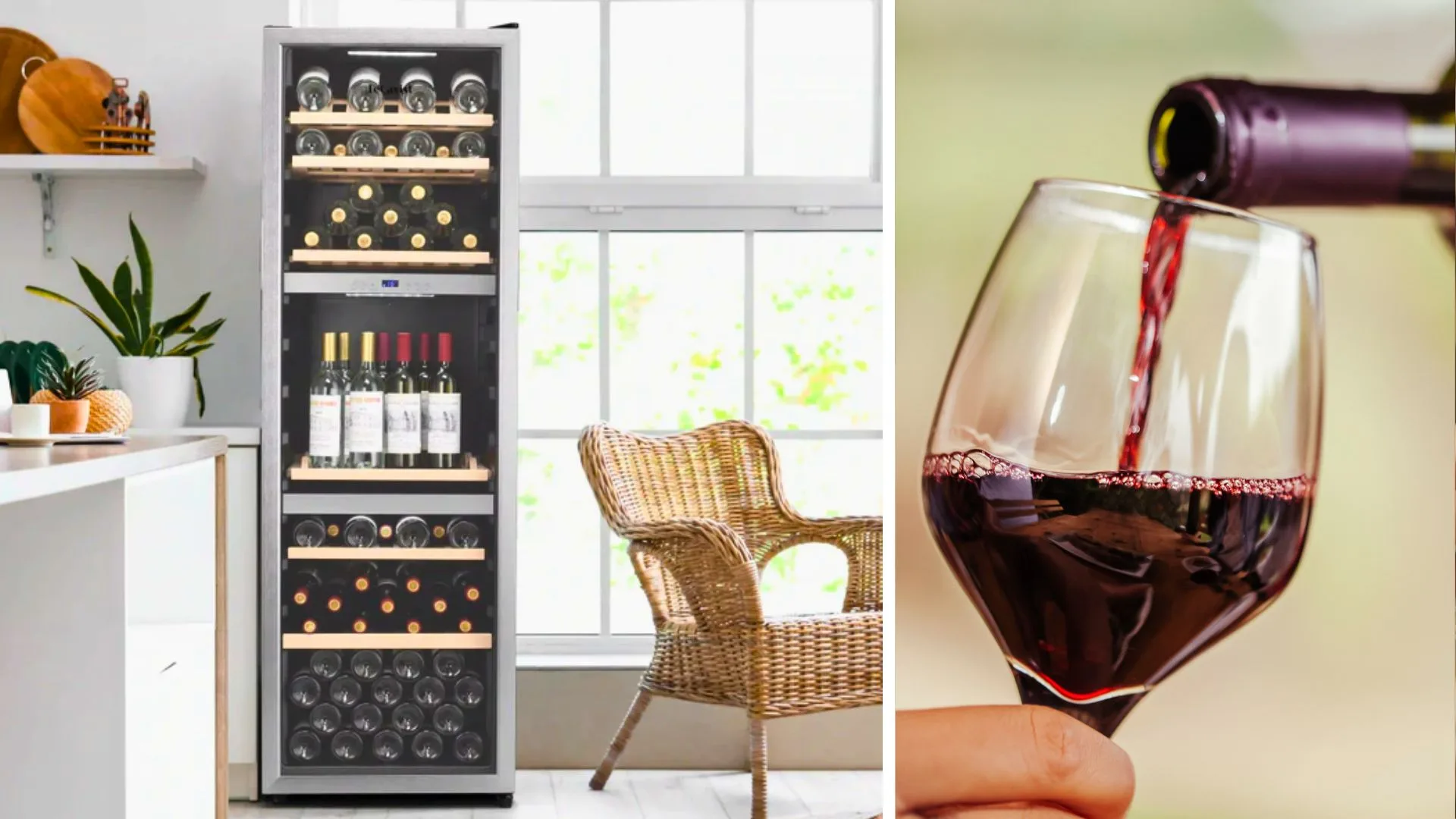 Black Friday Deals Wine Fridge