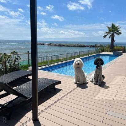 【インスタ画像】 犬 と 泊まれる 宿 関東 Tiktok話題の動画 #991