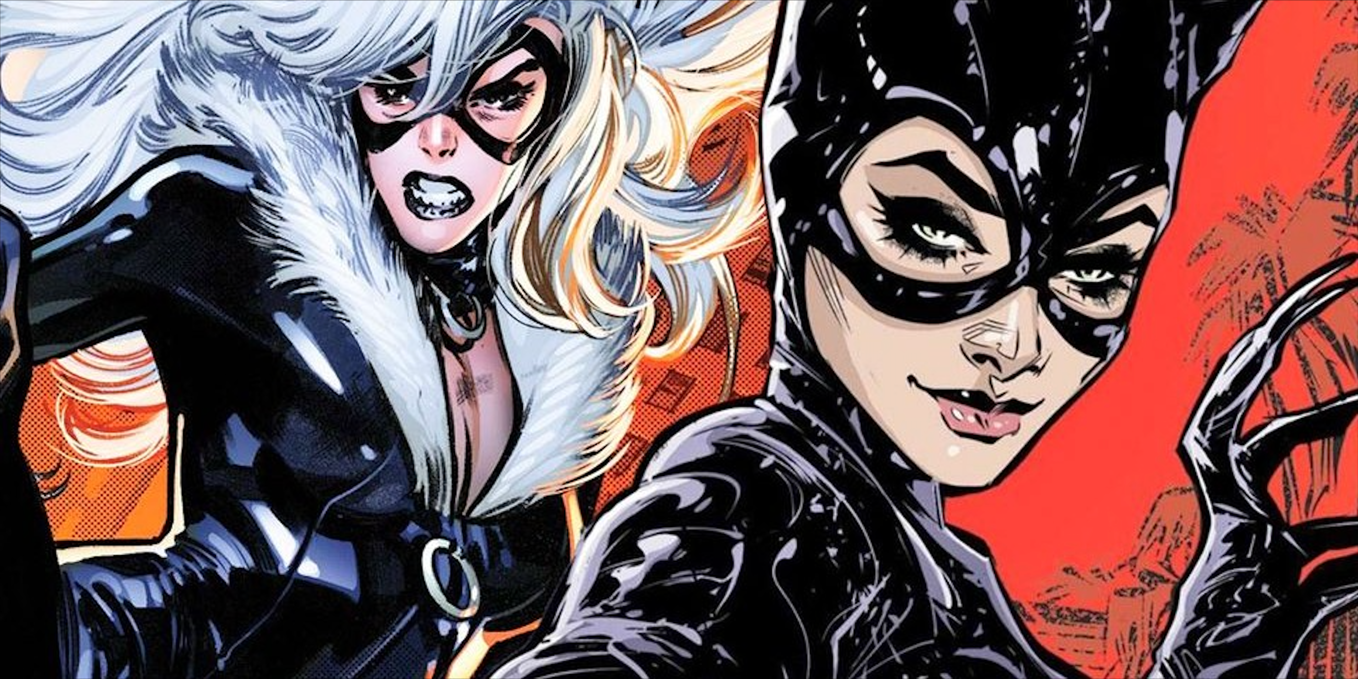 Black Cat Dc Bag Policy
