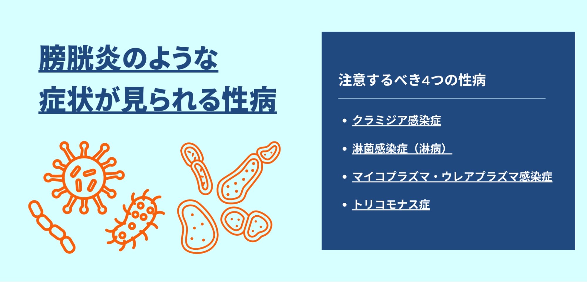 クラミジアと膀胱炎はなぜ似てる？排尿痛の真相と見分け方を徹底解説