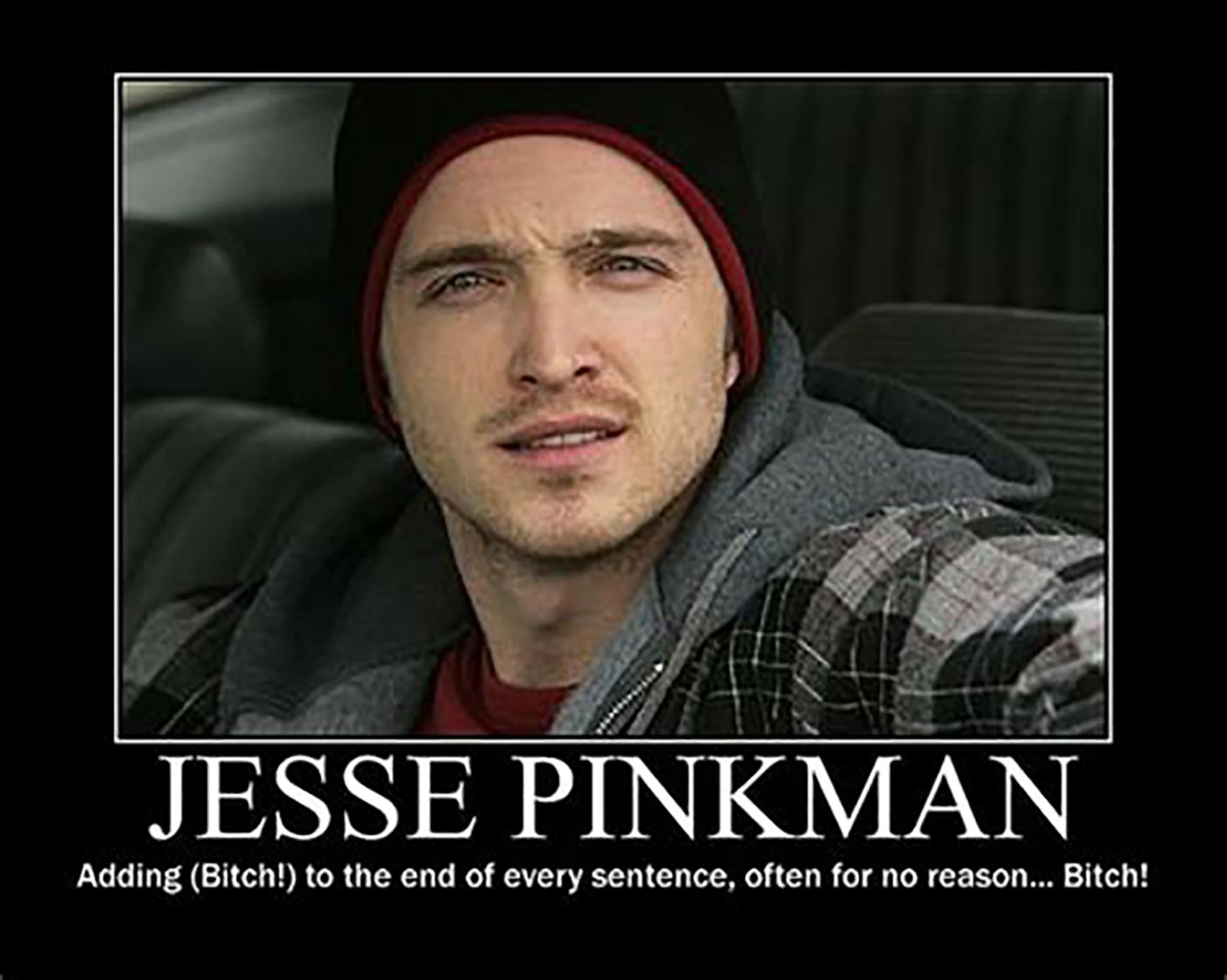 Jesse Pinkman Funny Quotes
