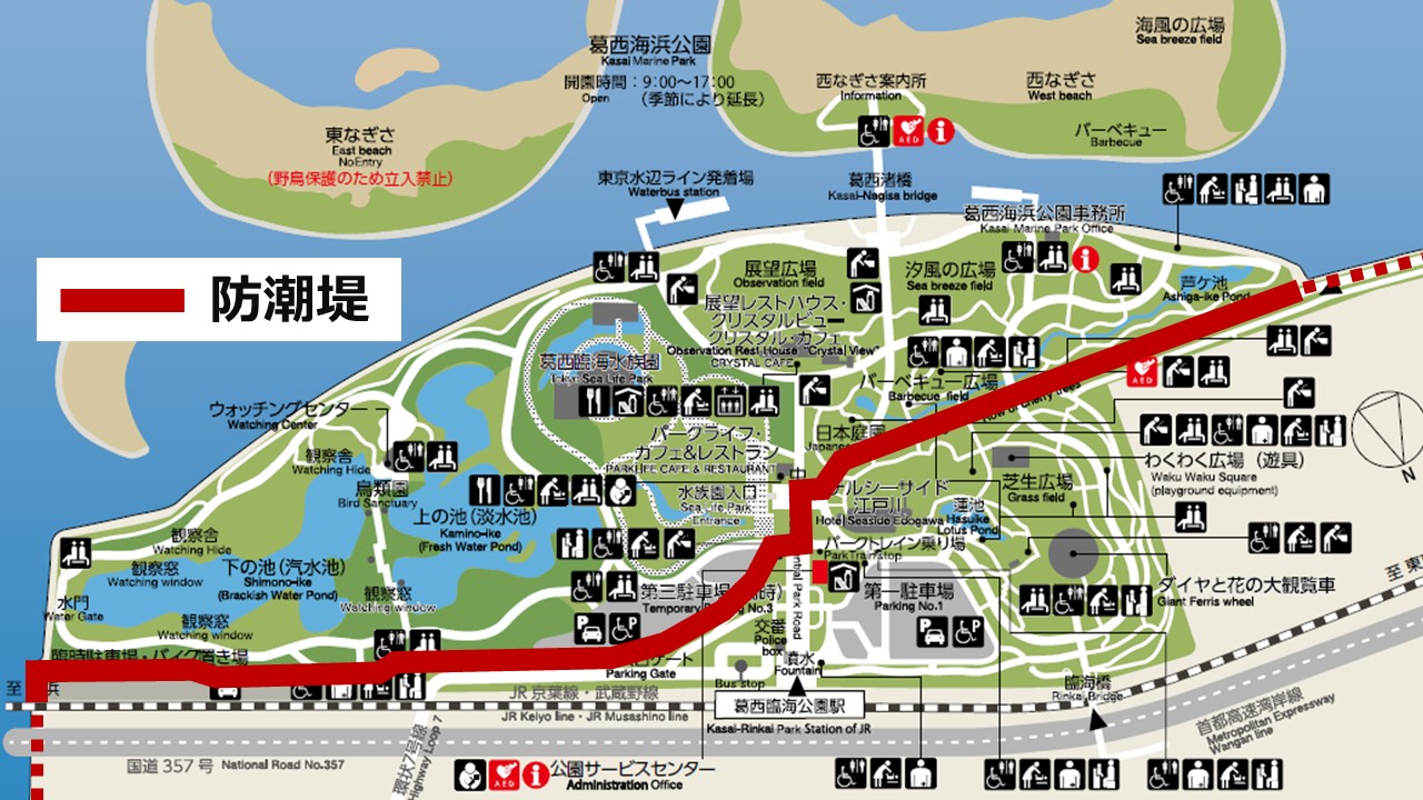 葛西臨海公園は津波で水没する？2026年最新ハザードマップと真相